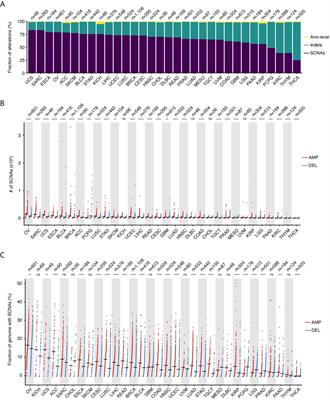 Somatic Copy Number Alterations in Human Cancers: An Analysis of Publicly Available Data From The Cancer Genome Atlas